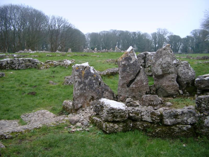 Famous Ancient Stone Circle on Grassy Landscape, Surrounded by Tall Trees.