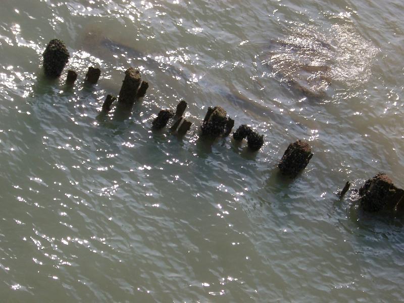 Old Rotten Wooden Groynes on the Sea Water in Brighton, England