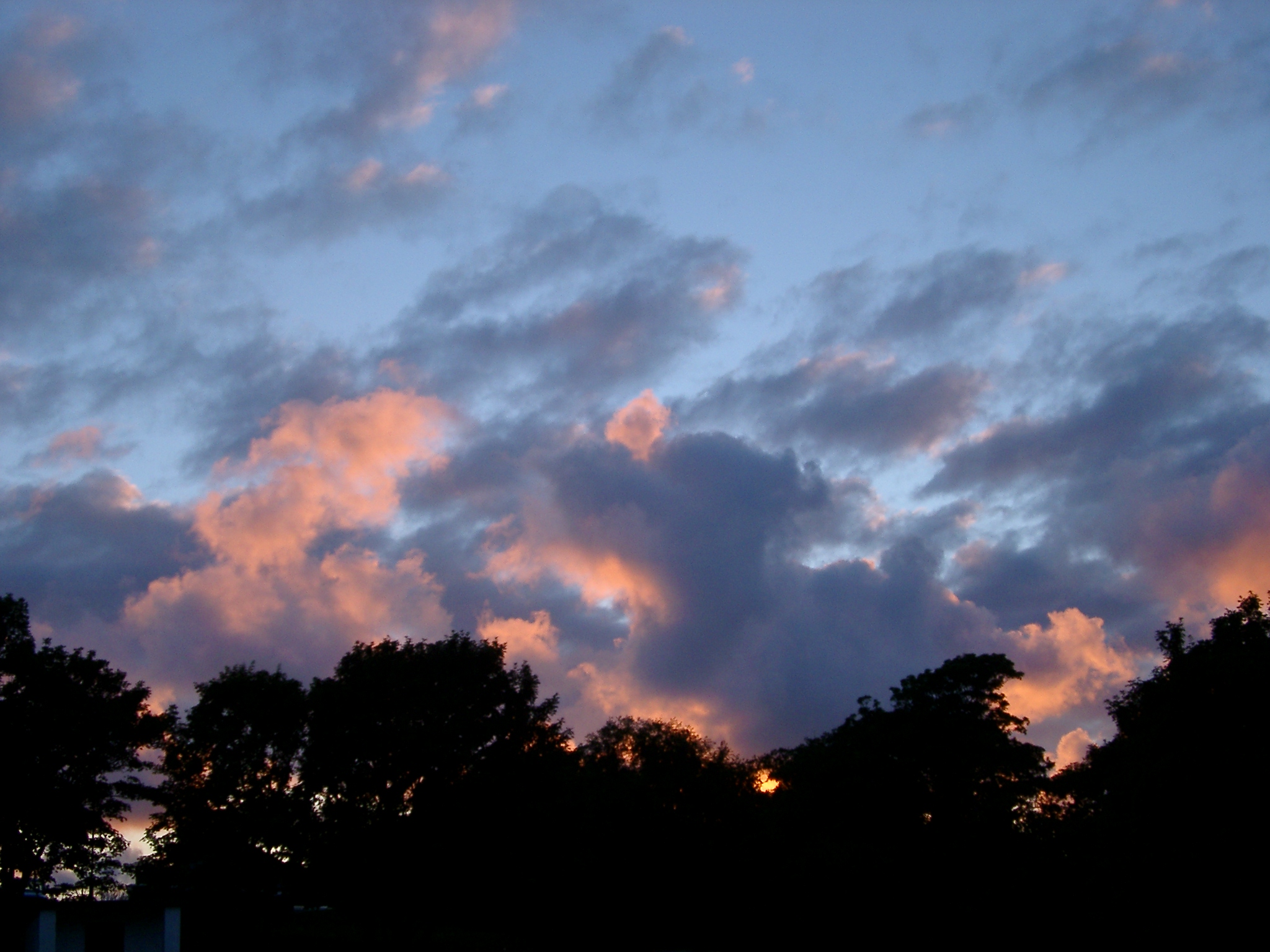 an image of sunset and tree shlhouette