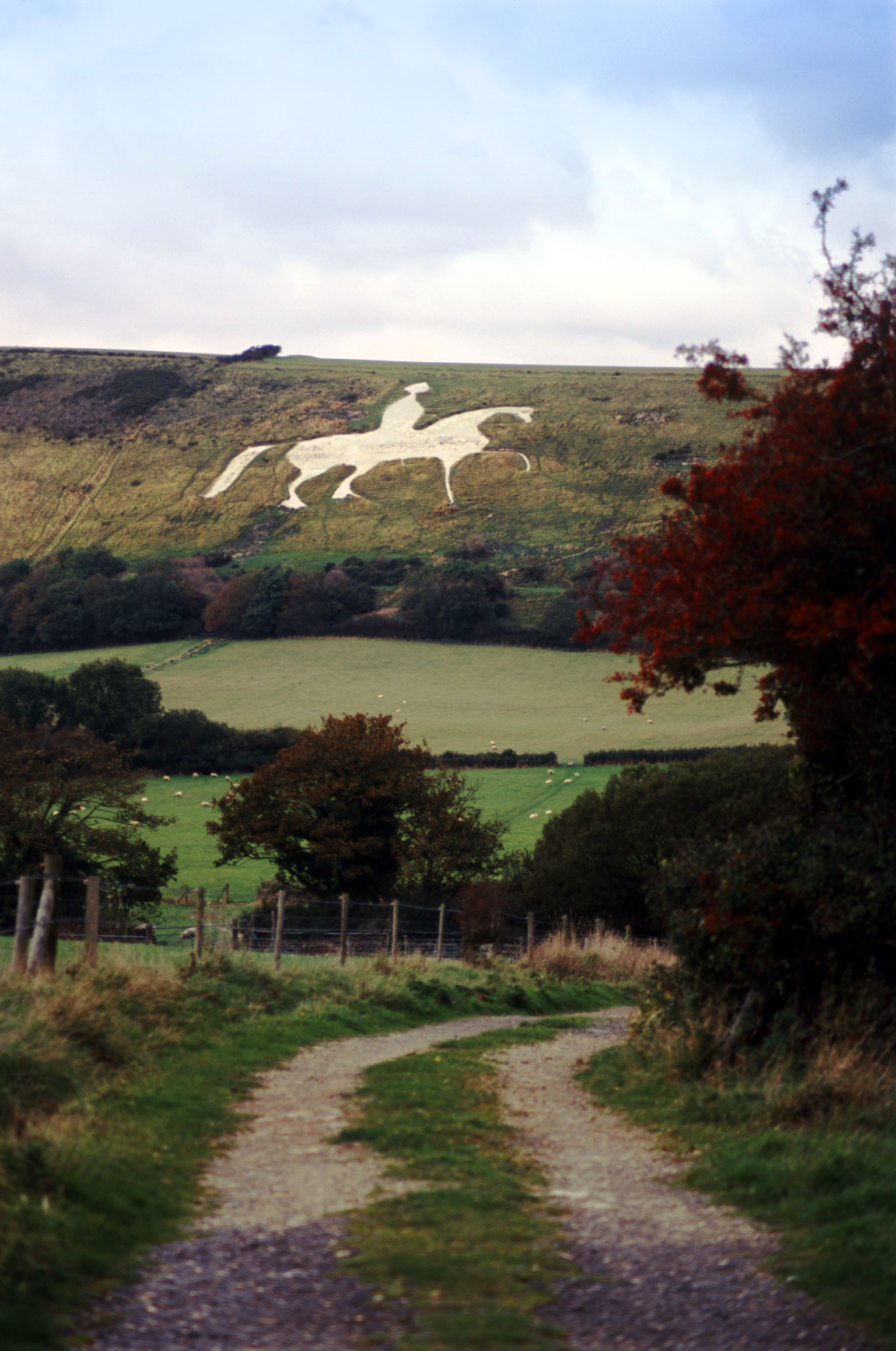 an image of horse motif carved into a limestone hillside, osmington, dorset