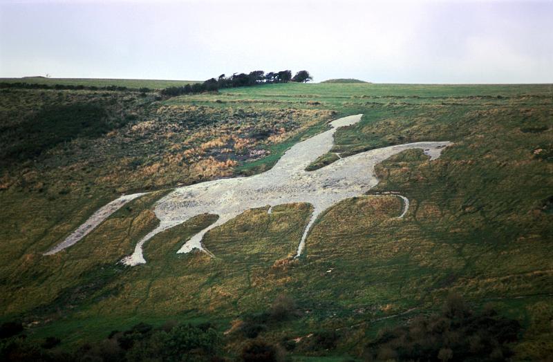 view of the famous limestone white horse on Osmington hill , south dorset downs
