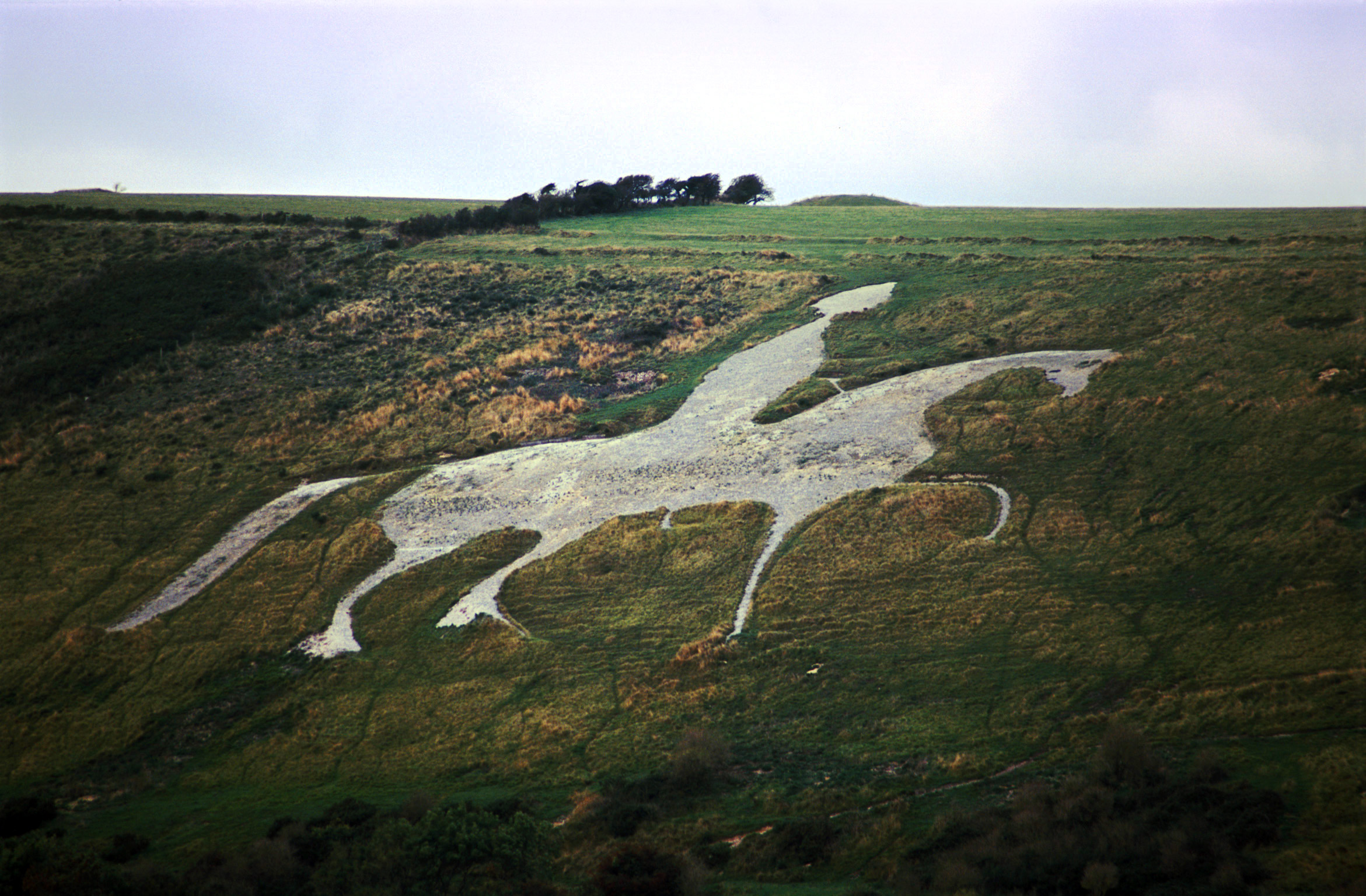 an image of view of the famous limestone white horse on Osmington hill , south dorset downs