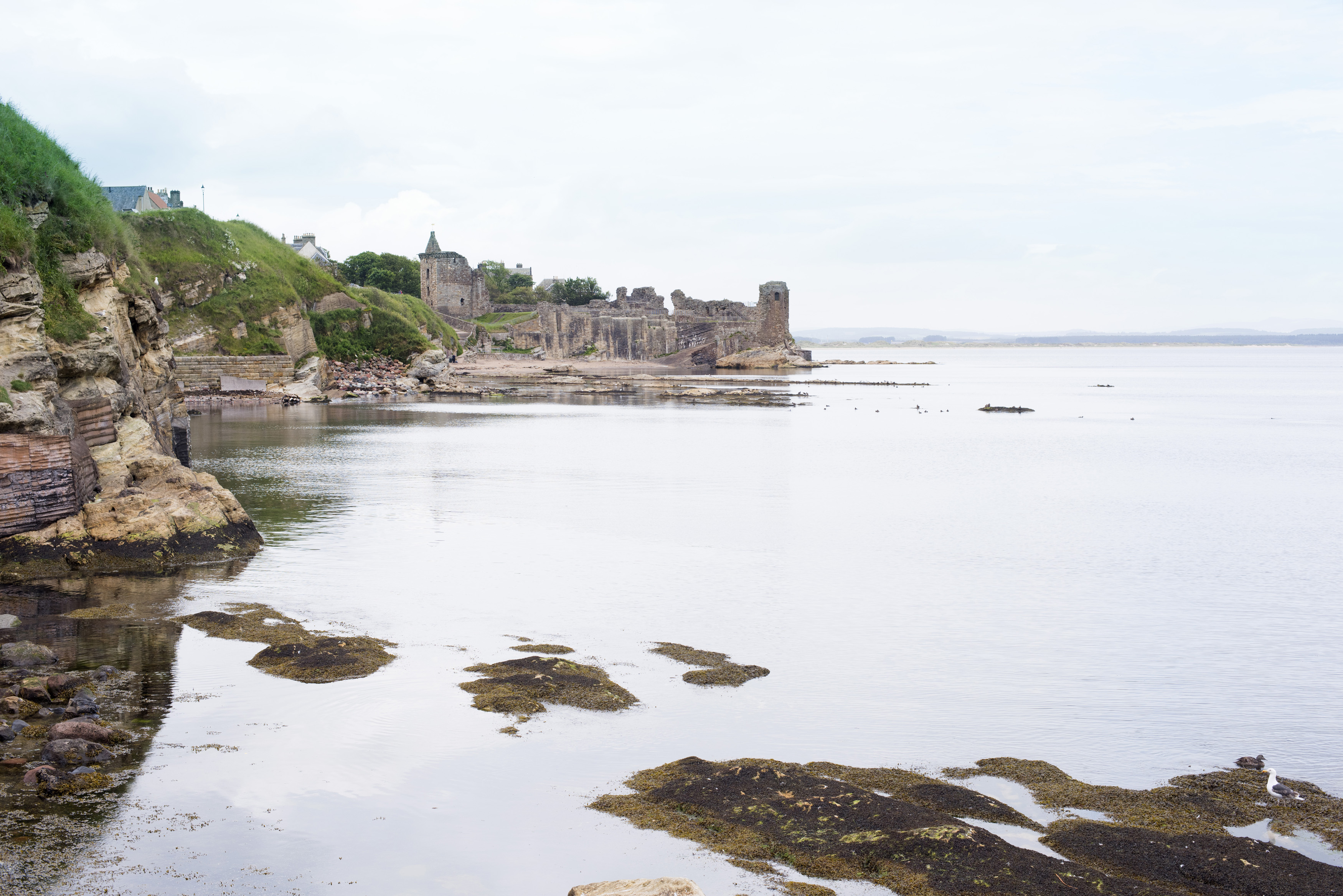 an image of View of ocean and rocky beach under overcast sky at old fishing harbor in Saint Andrews, Scotland