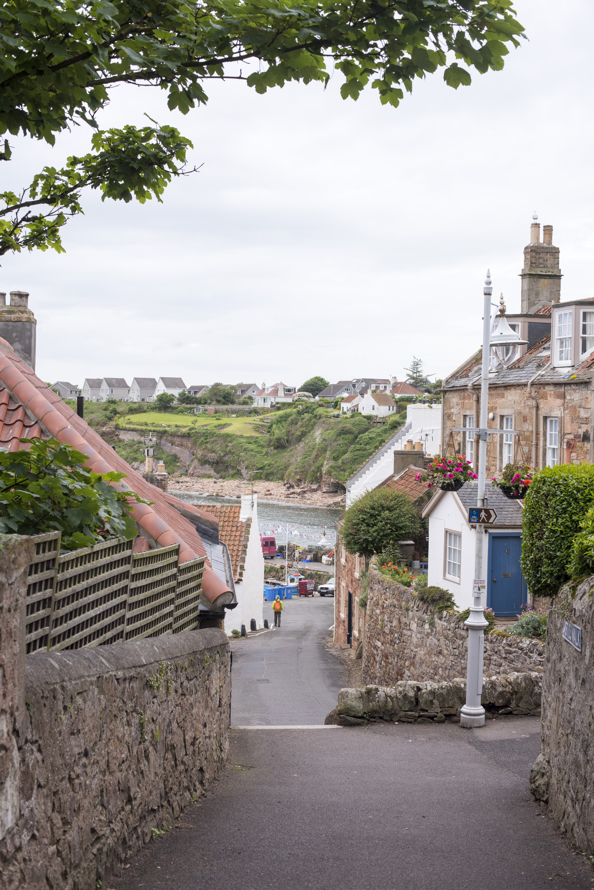 an image of Down street view of old historic buildings and well manicured hedges of Crail in Scotland