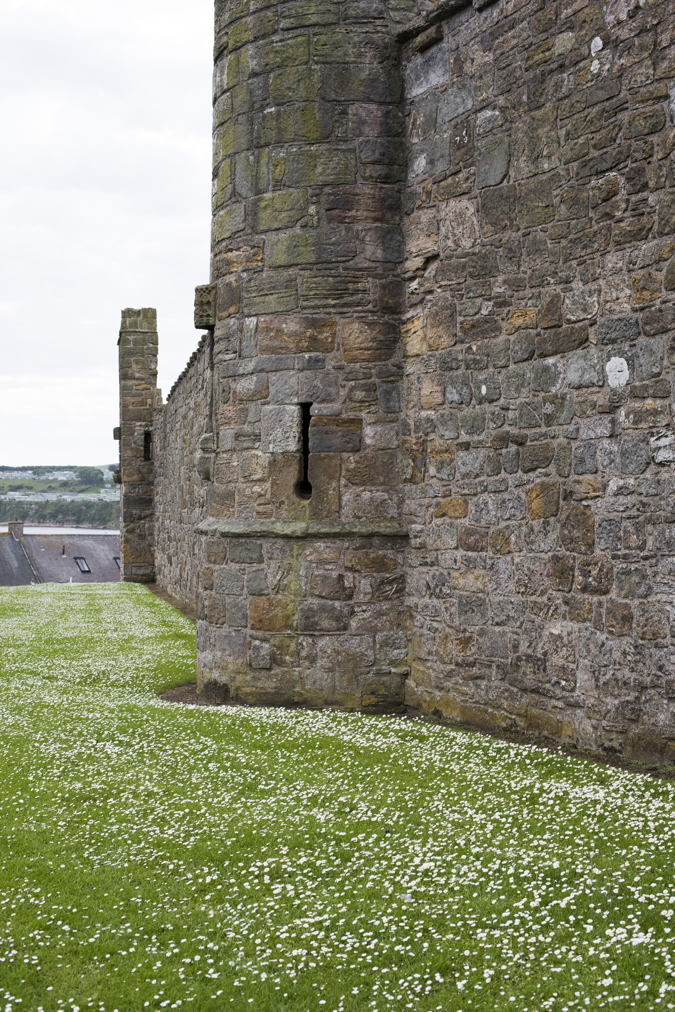 an image of St Andrews Cathedral ruins, Scotland looking across a neat lawn to the base of around tower in an old medieval stone wall