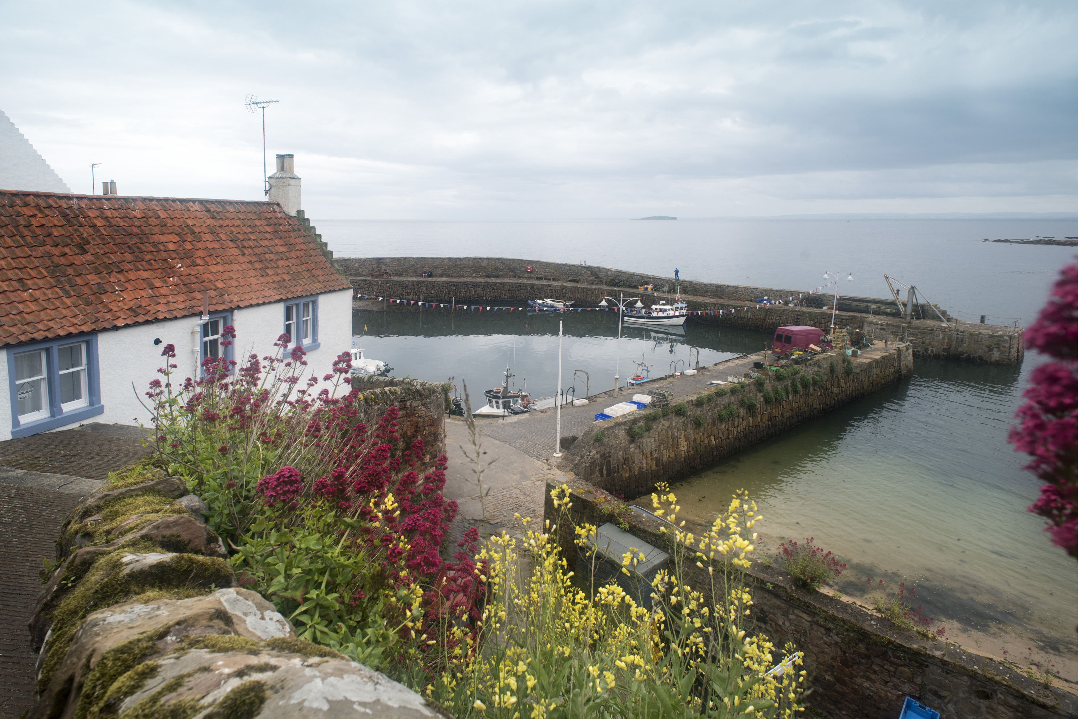 an image of View from cliff of historic with various boats docked around bay at Crail, Scotland