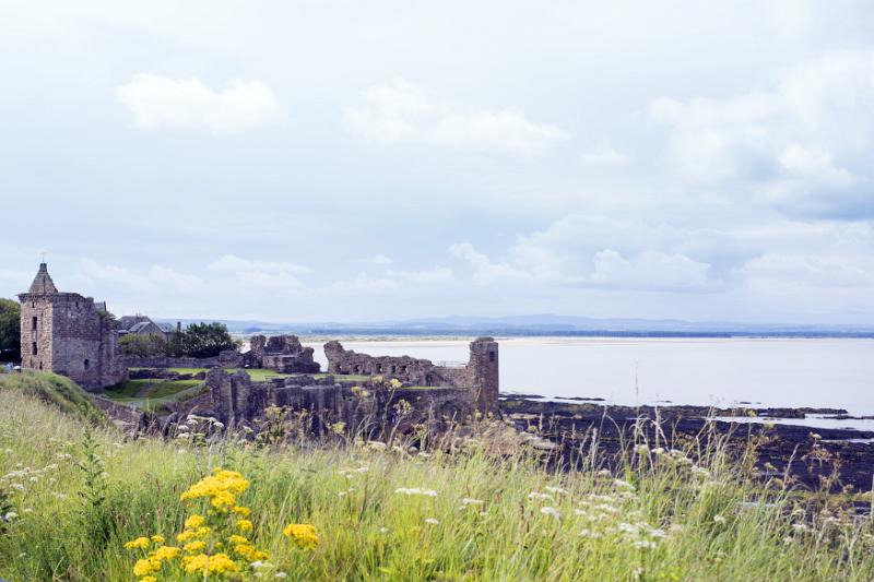 View on old ruins of Saint Andrews cathedral from grassy knoll with wildflowers and mountains in the far distance