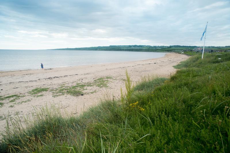 Deserted beach on the Fife coast at St Andrews, Scotland bordered by lush green grass curving away into the distance on a cloudy day