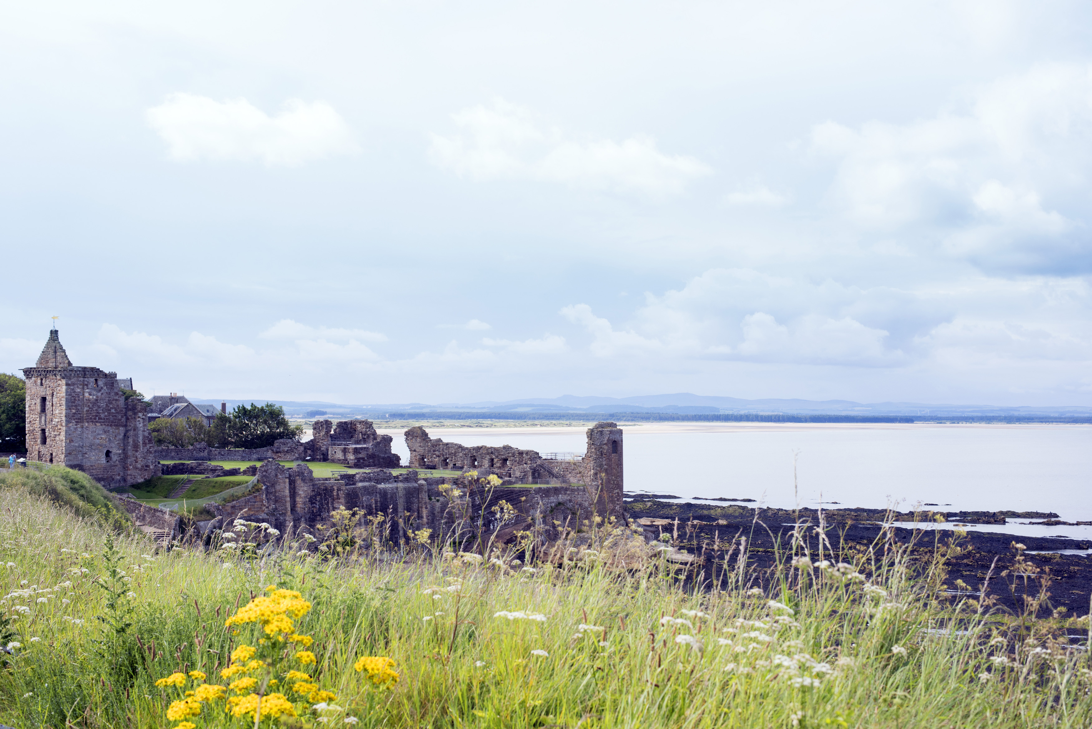 an image of View on old ruins of Saint Andrews cathedral from grassy knoll with wildflowers and mountains in the far distance