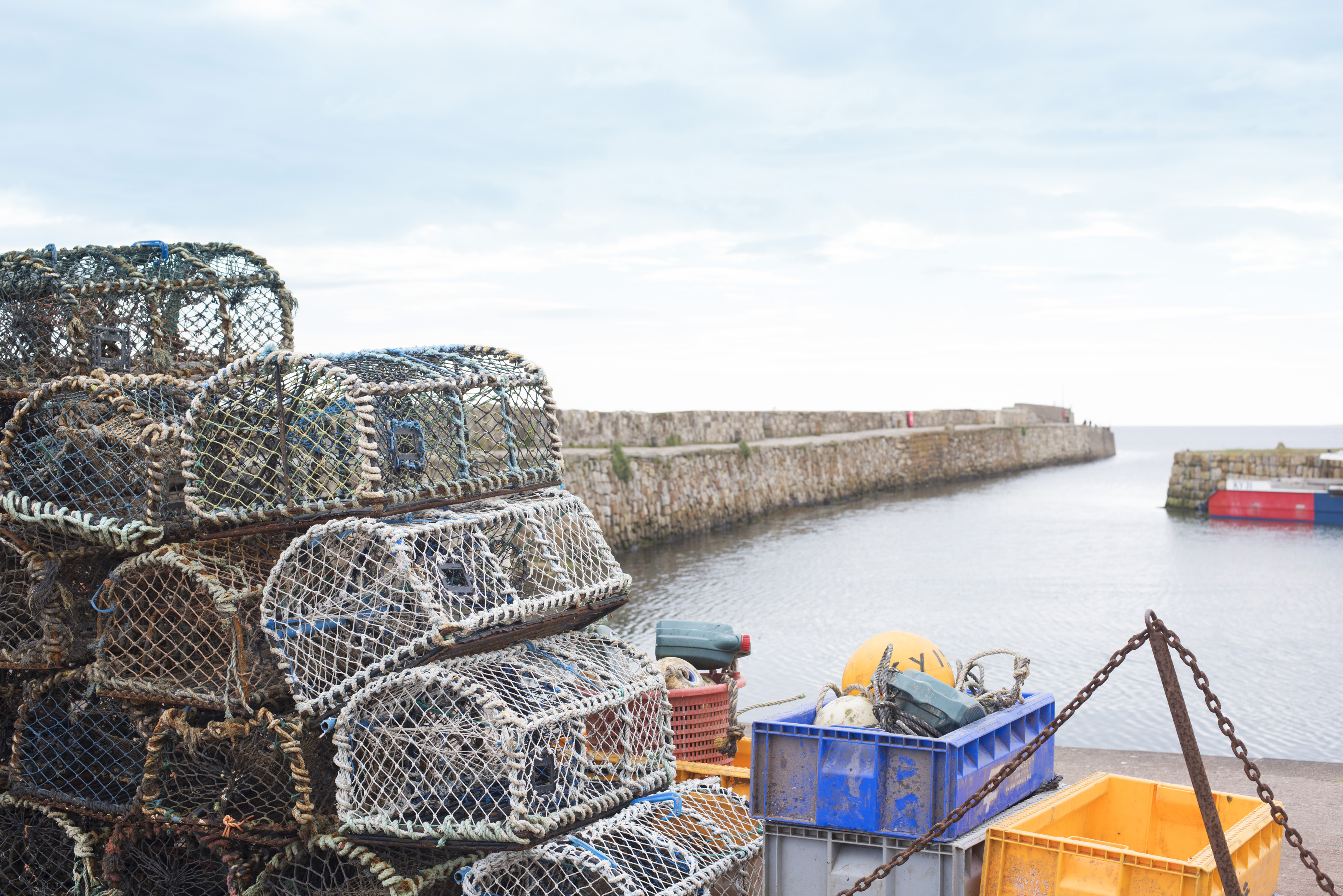 an image of Old wire crab and lobster pots on the quay overlooking the harbour, St Andrews, Scotland