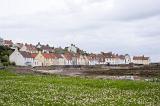 Little flowers in field in foreground on view of houses and hill at Pittenweem, Scotland during low tide