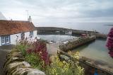 View from cliff of historic with various boats docked around bay at Crail, Scotland