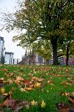 View across a green lawn scattered with autumn leaves of St Andrews Cathedral in Glasgow on the skyline
