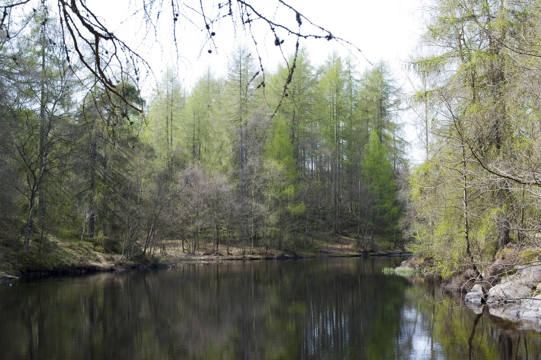 an image of trees surrounding high dam reflecting off the water