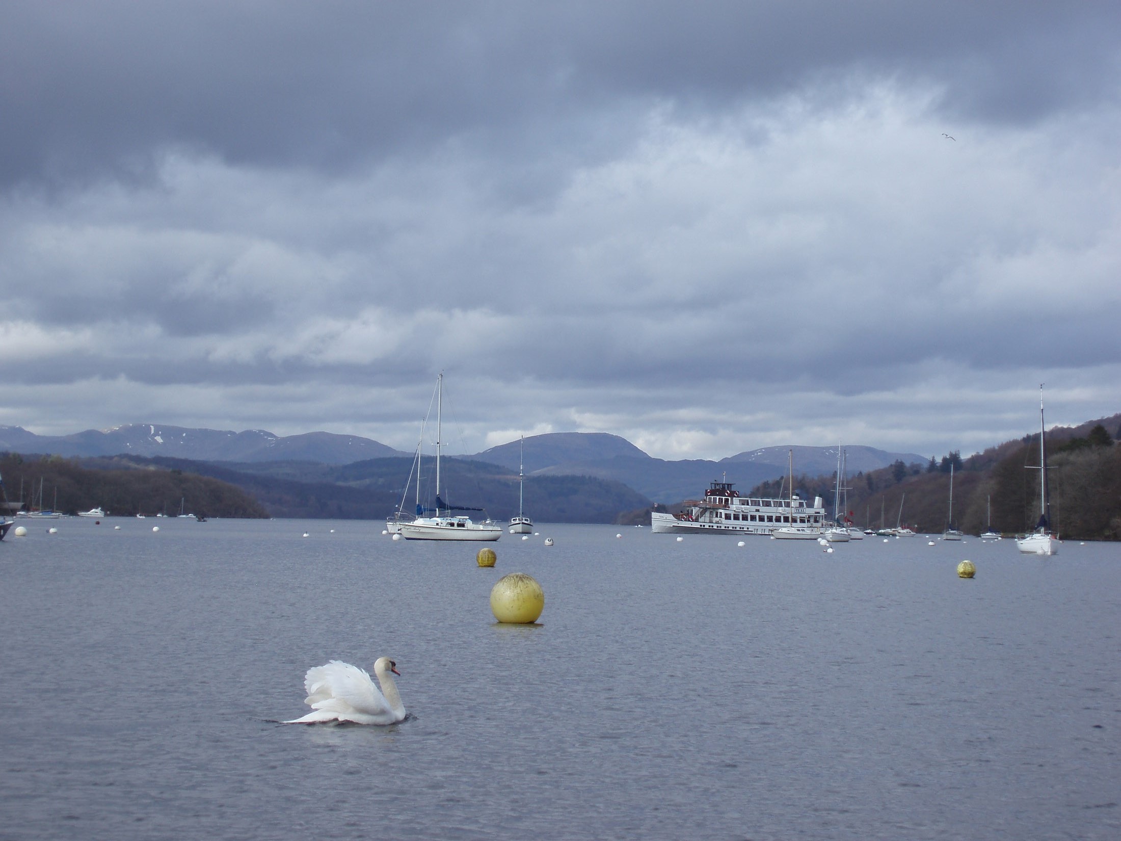 an image of the motorship teal on lake windermere, viewed near lakeside