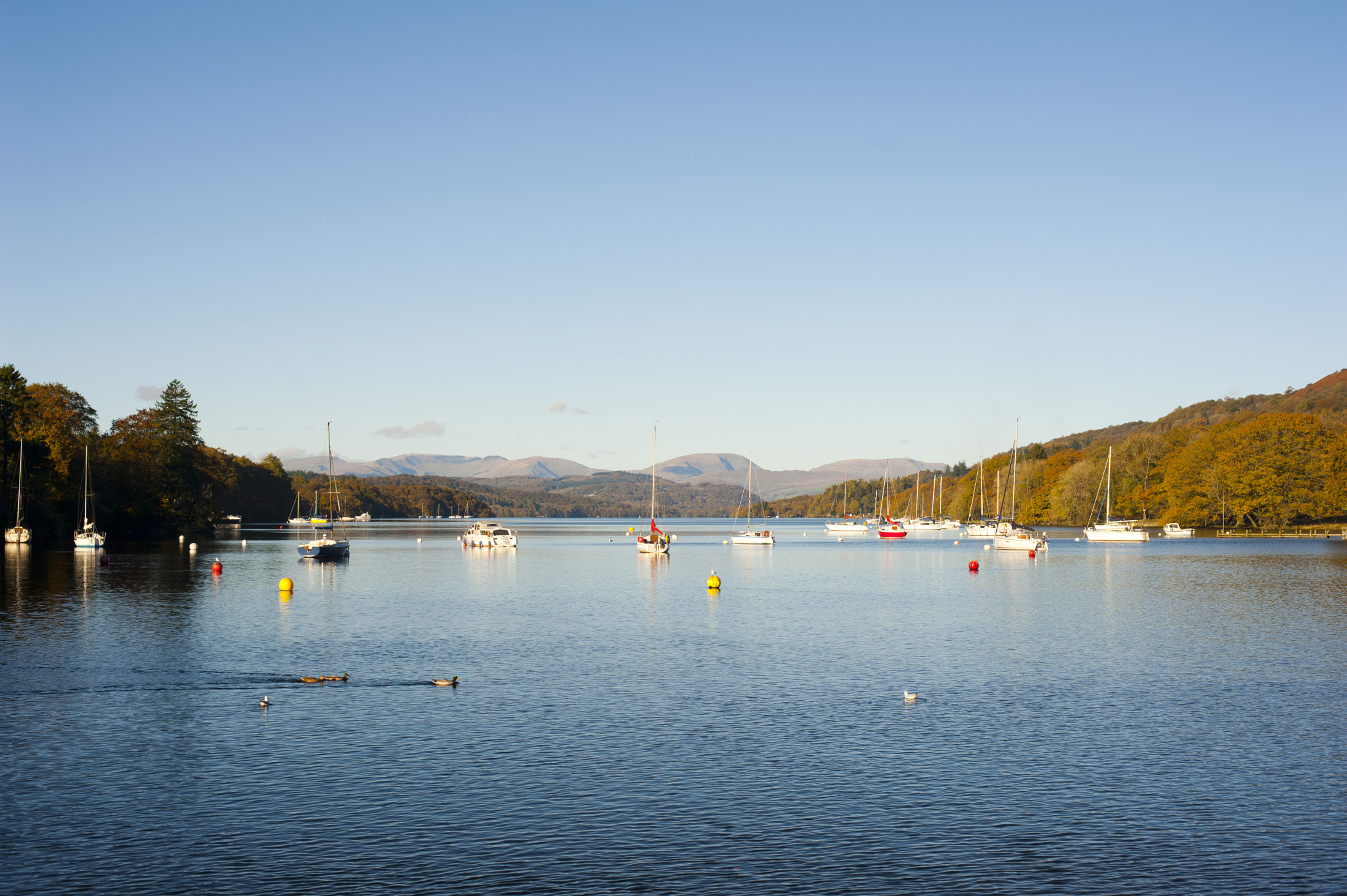 an image of yachts moored on the calm waters of windermere, cumbria lake district with a clear blue sky