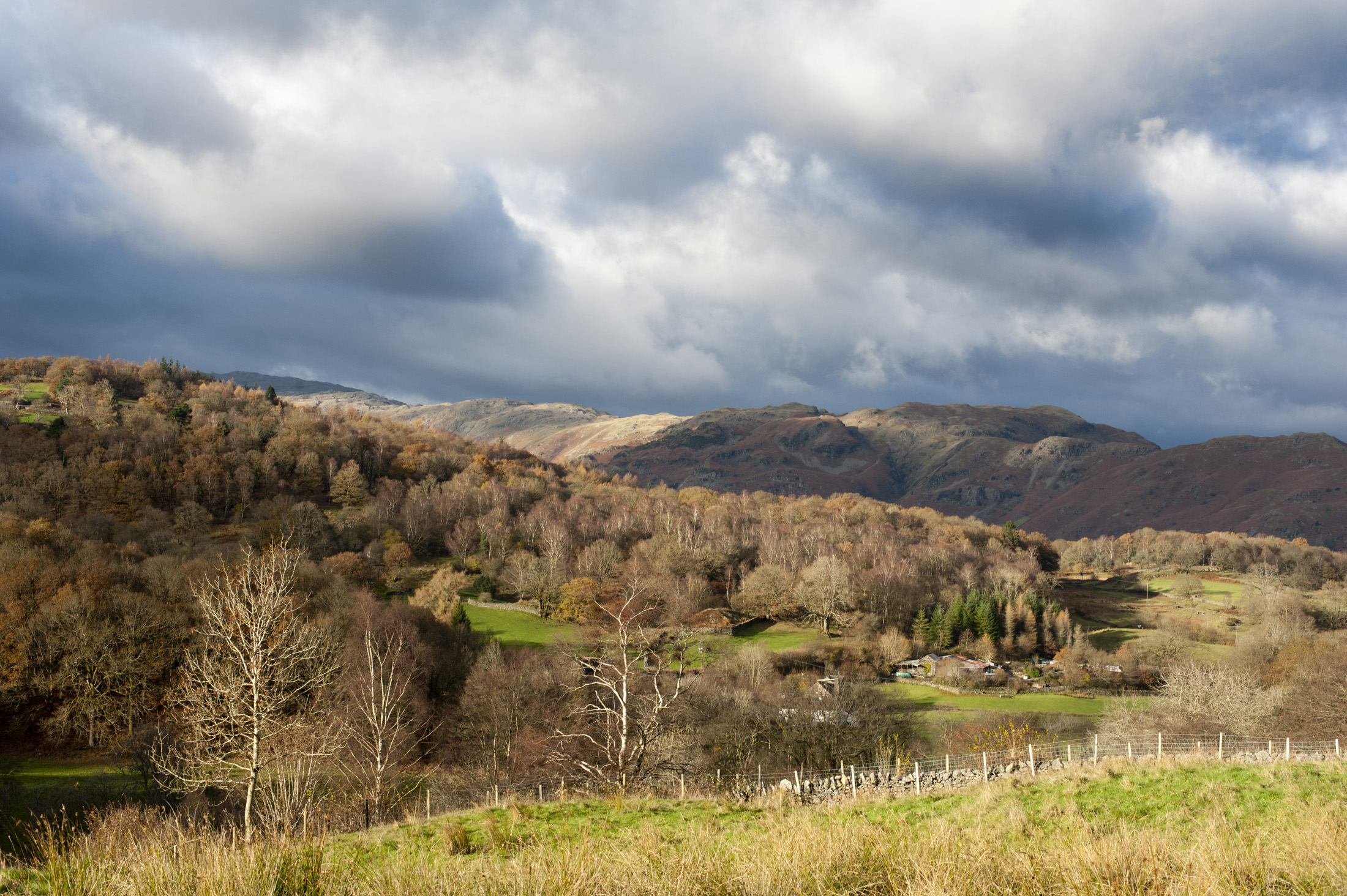 an image of The Langdales in the Lake District National Park, an area of great natural beauty in Cumbria with rolling hills and forested slopes viewed from the A593