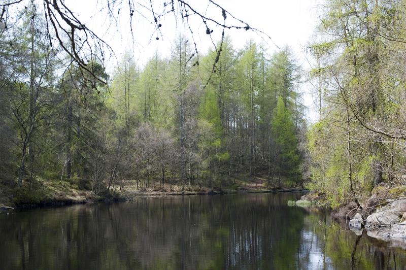 trees surrounding high dam reflecting off the water