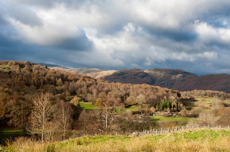 The Langdales in the Lake District National Park, an area of great natural beauty in Cumbria with rolling hills and forested slopes viewed from the A593
