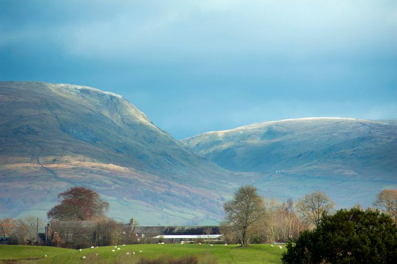 Pastoral scenery in the Lake District with sheep grazing on lush pastures below rolling mountains and hills, view from hawkshead looking towards the red screes