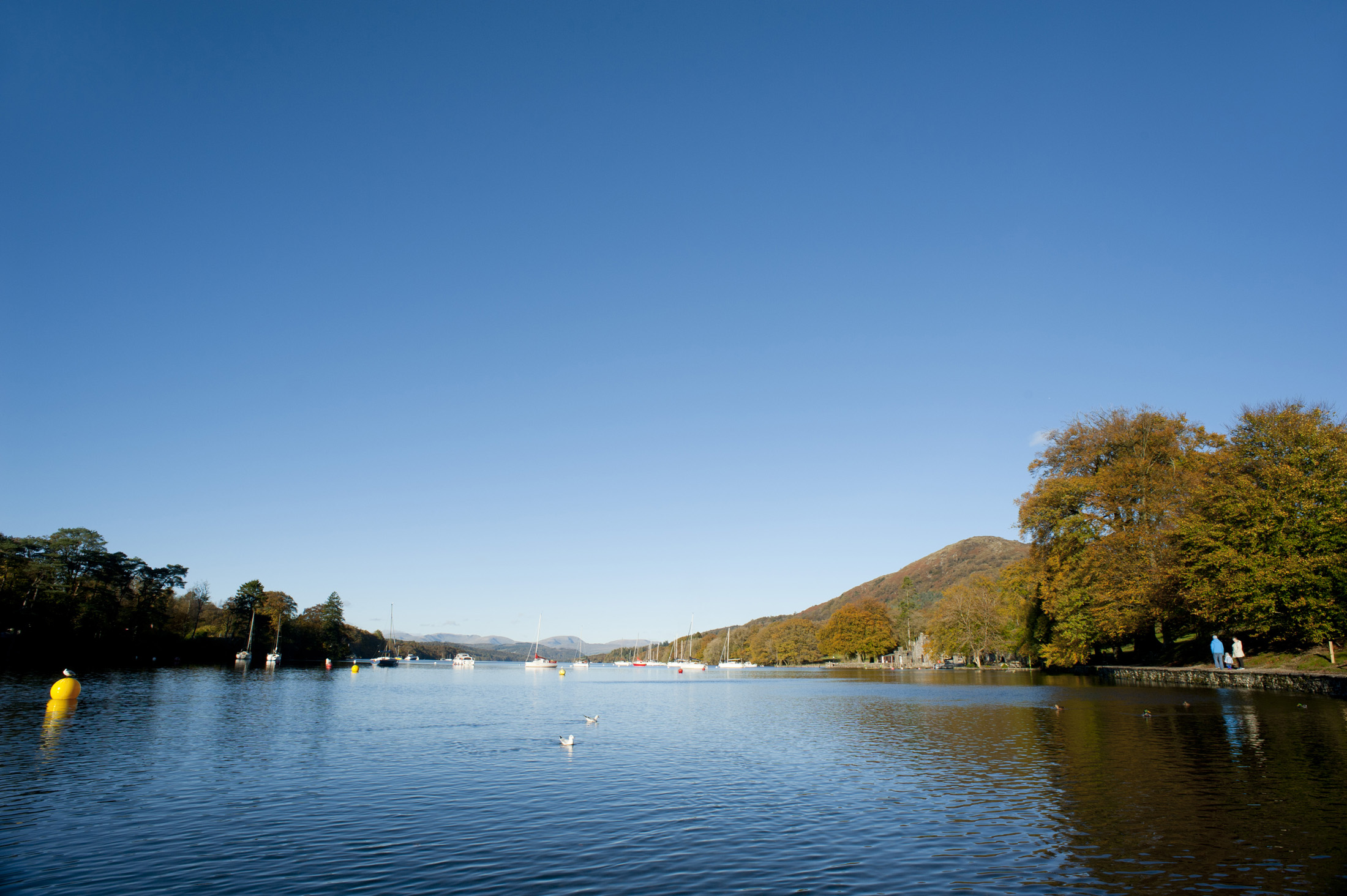 an image of Placid waters of Lake Windermere in the Lake District in Cumbria on a beautiful sunny day
