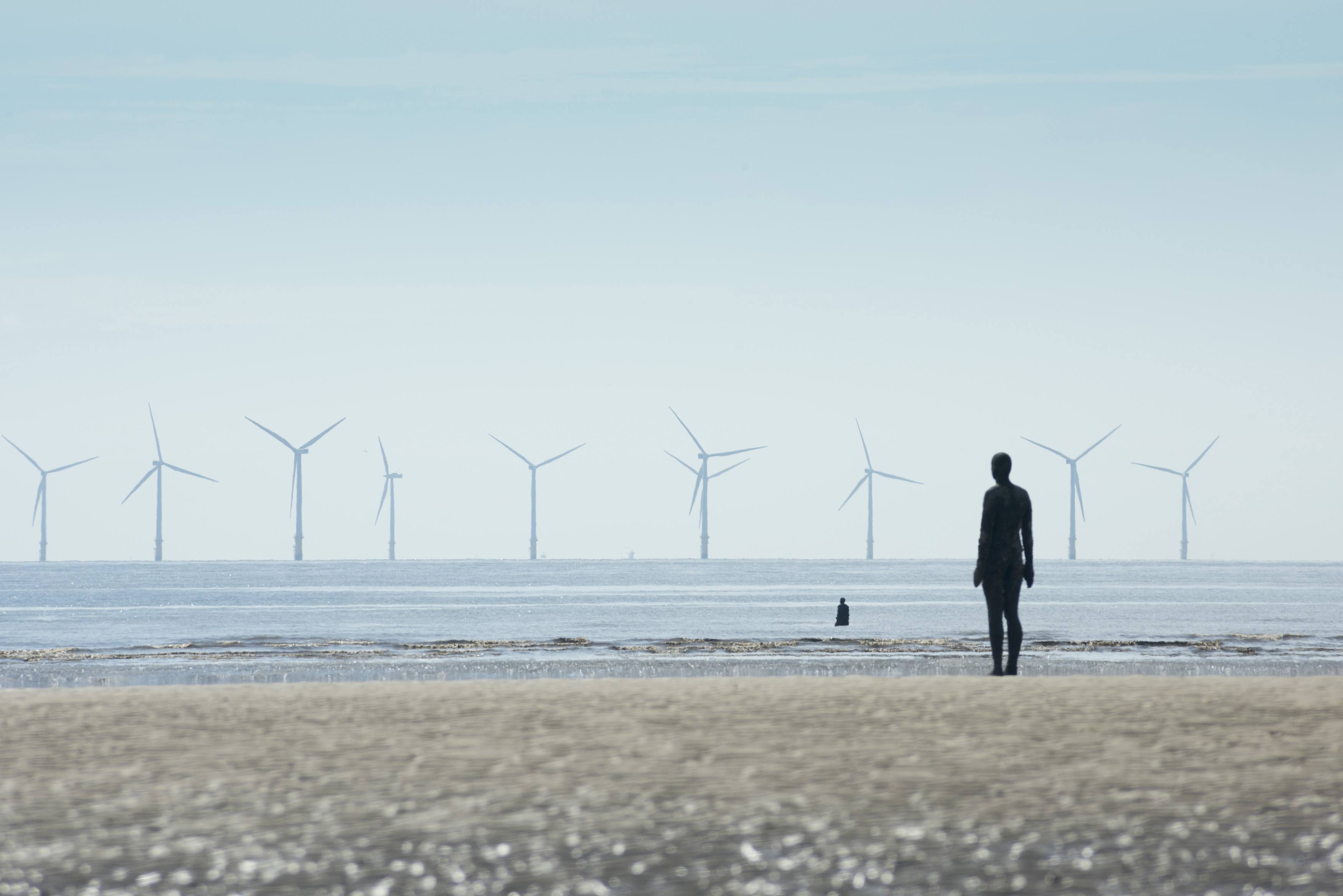 an image of Row of multiple giant wind power turbines in background of Antony Gormley statue in Crosby, United Kingdom