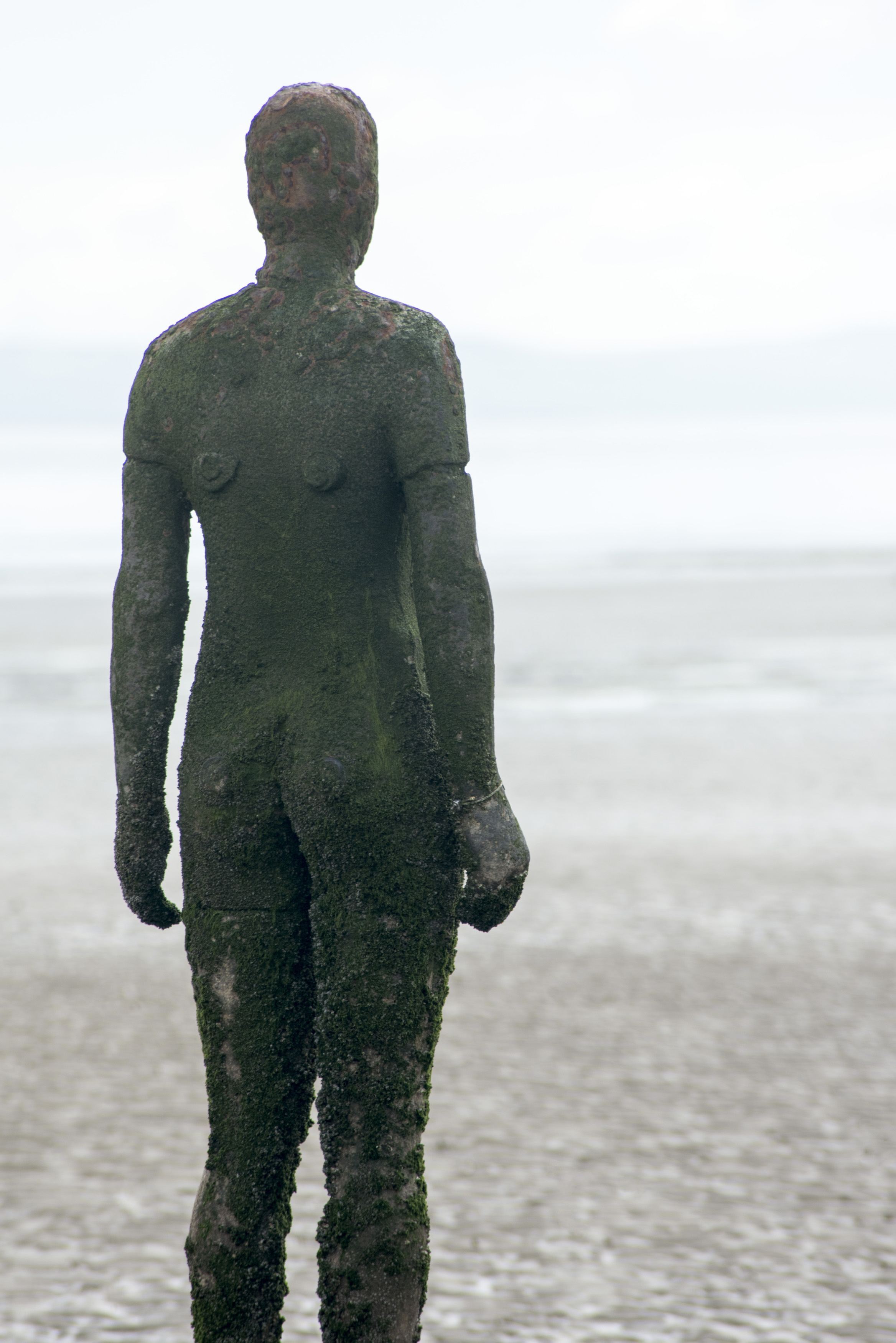 an image of Close up on rear of Another Place statue by Antony Gormley in Crosby, United Kingdom
