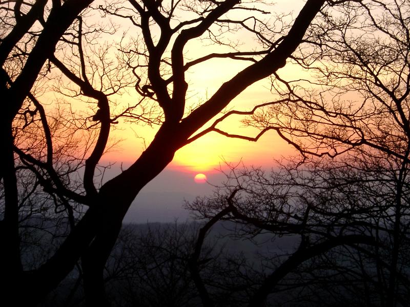 Conceptual Serenity View of Silhouette Leafless Trees During Dramatic Sun Down Time