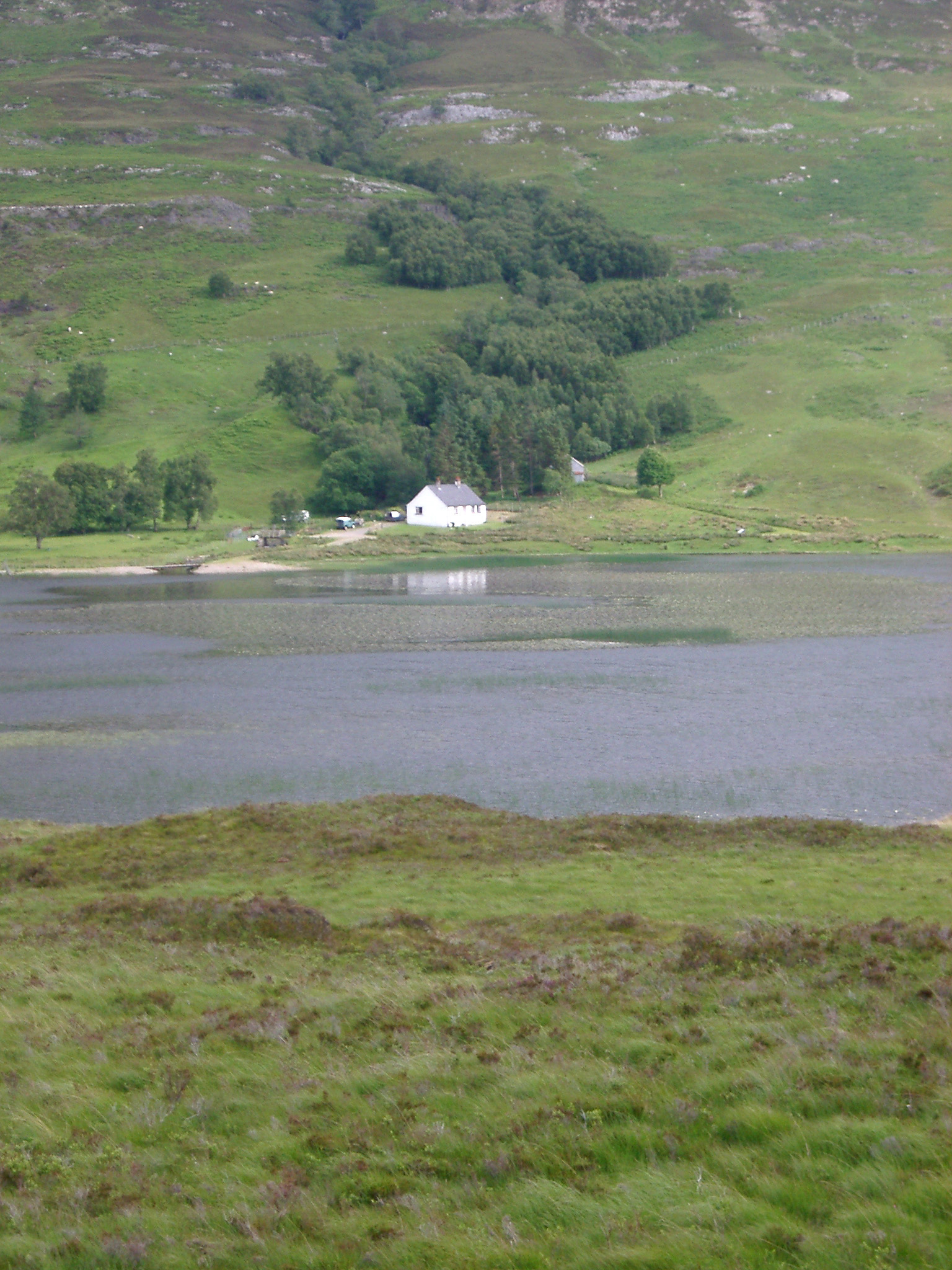 an image of Distant view of a remote whitewashed house on the shores of loch in Scotland in a lush tranquil landscape
