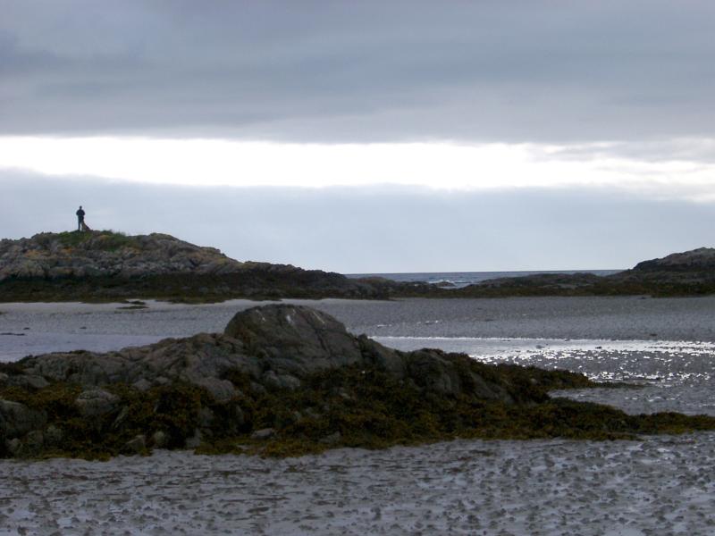 Stormy estury seascape