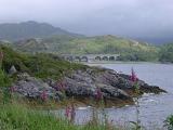 Old road bridge with arches in a misty mountainous landscape with flowering purple foxgloves in the foreground