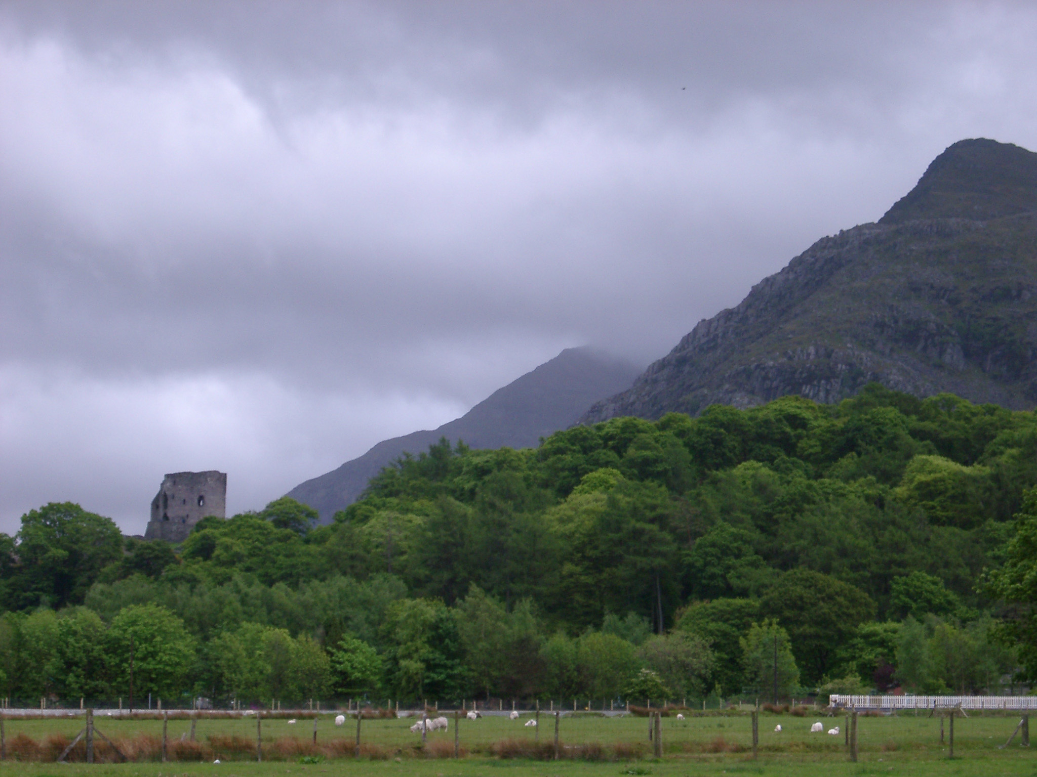 an image of castle ruin at llangollen