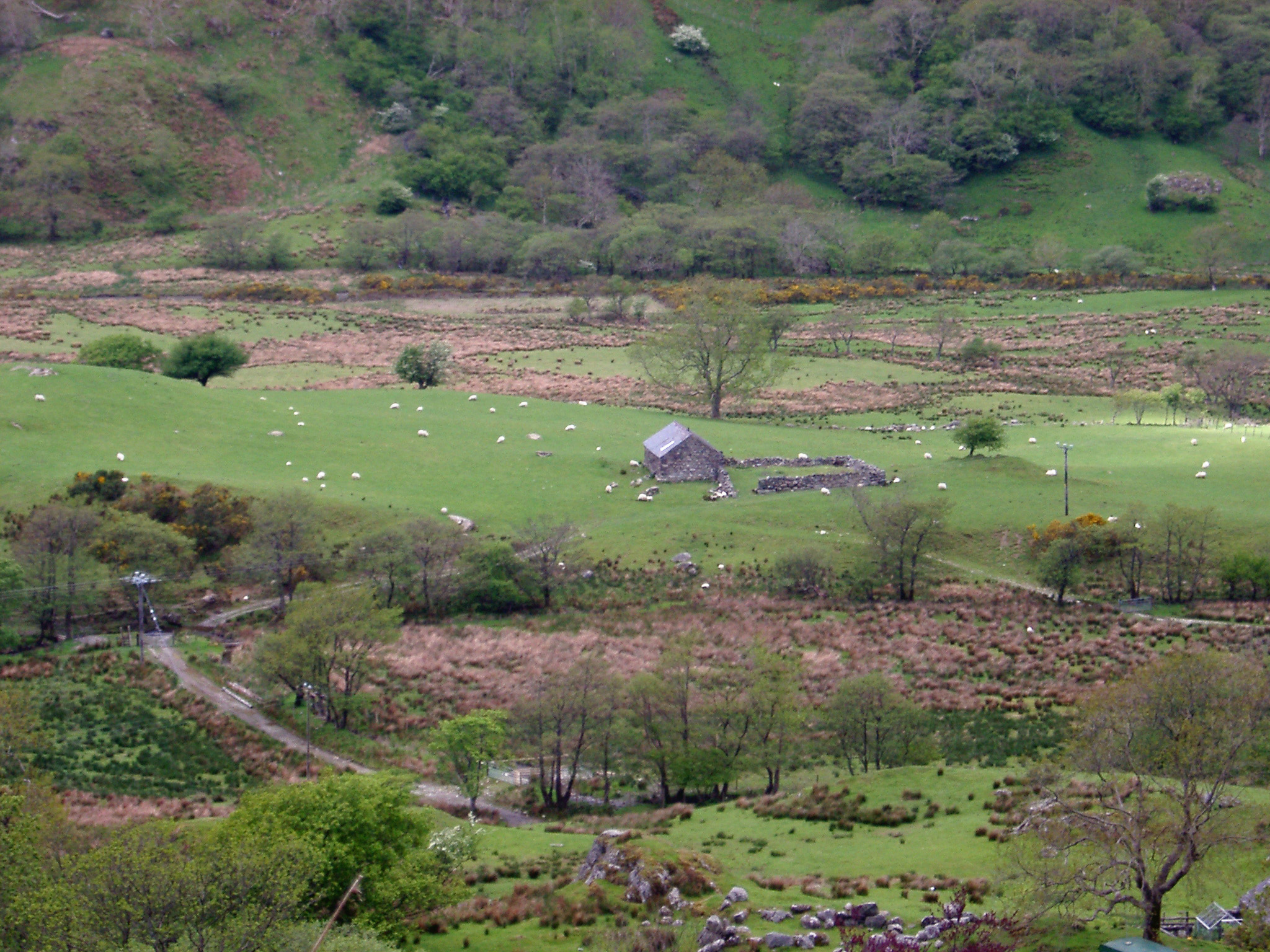 an image of Panorama Aerial View of Farm House on Grassland with Various Animals and Green Trees.