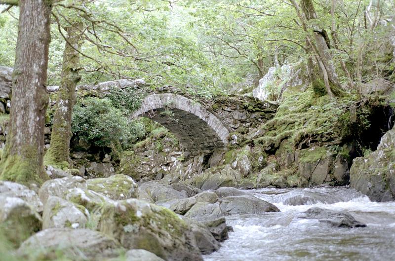 Low angle view over the rocks and flowing water of an arched stone bridge over a river in a leafy green woodland setting