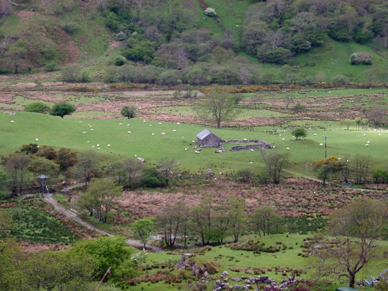 Panorama Aerial View of Farm House on Grassland with Various Animals and Green Trees.