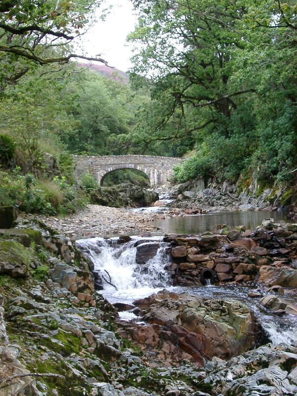 Small stone arch bridge spanning a fast flowing stream with white water in lush green woodland