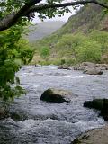 River with melt water flowing through a steep mountain valley forested with green leafy deciduous trees in Wales