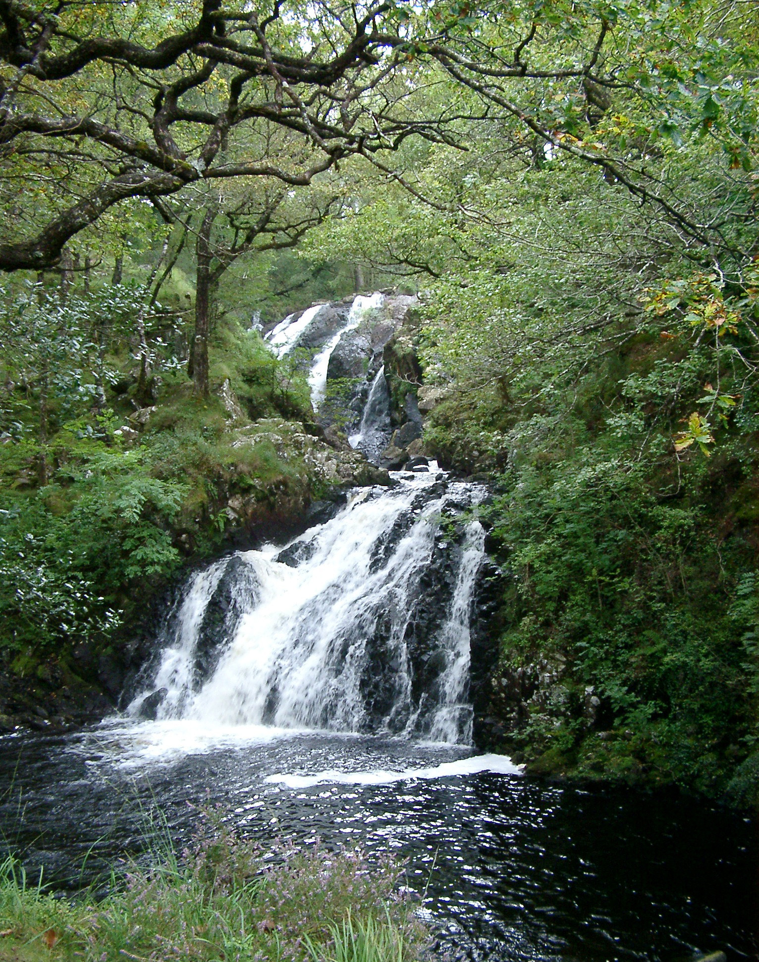 an image of Rhaeadr Ddu falls, or the Black Falls, take their name from the black rock over which the water cascades and are found in the Coed Ganllwyd National Nature Reserve, Wales