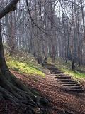 Rustic steps on a rural hiking trail or footpath meandering up hill through open woodland