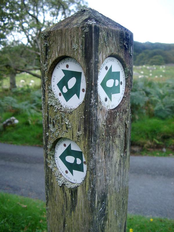 Hiking Trail Direction Arrows on Wooden Sign Post Close Up of Confusing Hiking Trail Directional Arrows on Wooden Sign Post Beside Paved Road
