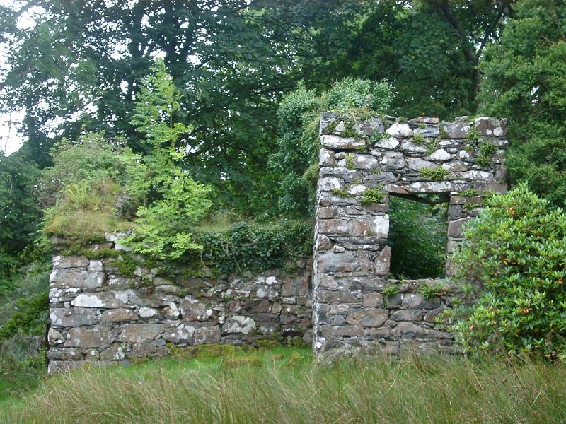 Old stone ruins with the remnants of a wall and window being reclaimed by leafy foliage and vegetation