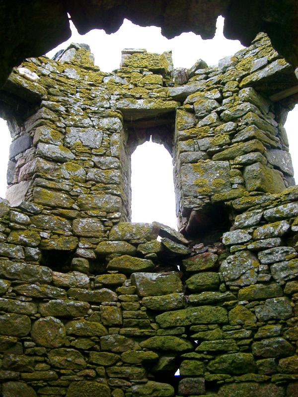 Looking Up at Moss Covered Rock Walls Inside Scolpaig Tower, Outer Hebrides, Scotland