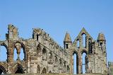 the ruins of the Benedictine whitby abbey