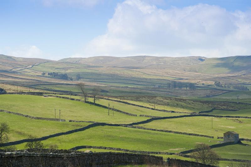 fields walled with drystone walling in the yorkshire dales national park