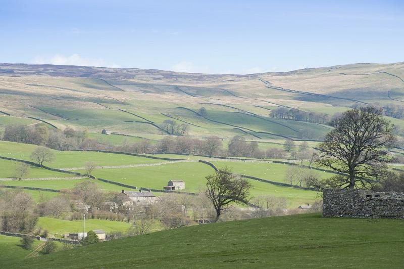 a scenic view of whensleydale in the yorkshire dales national park