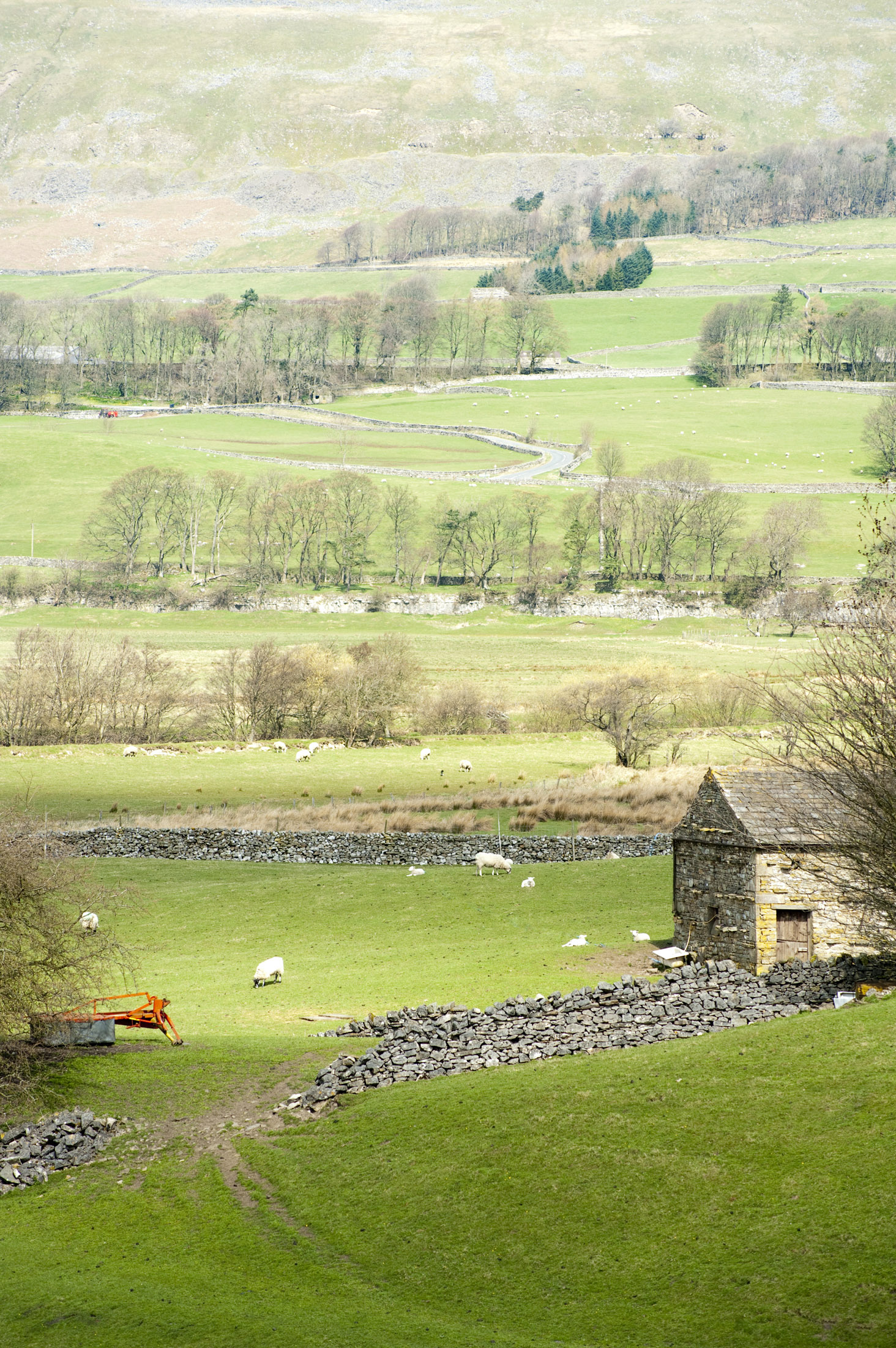 an image of patchwork of fields in wensleydale, yorkshire dales national park