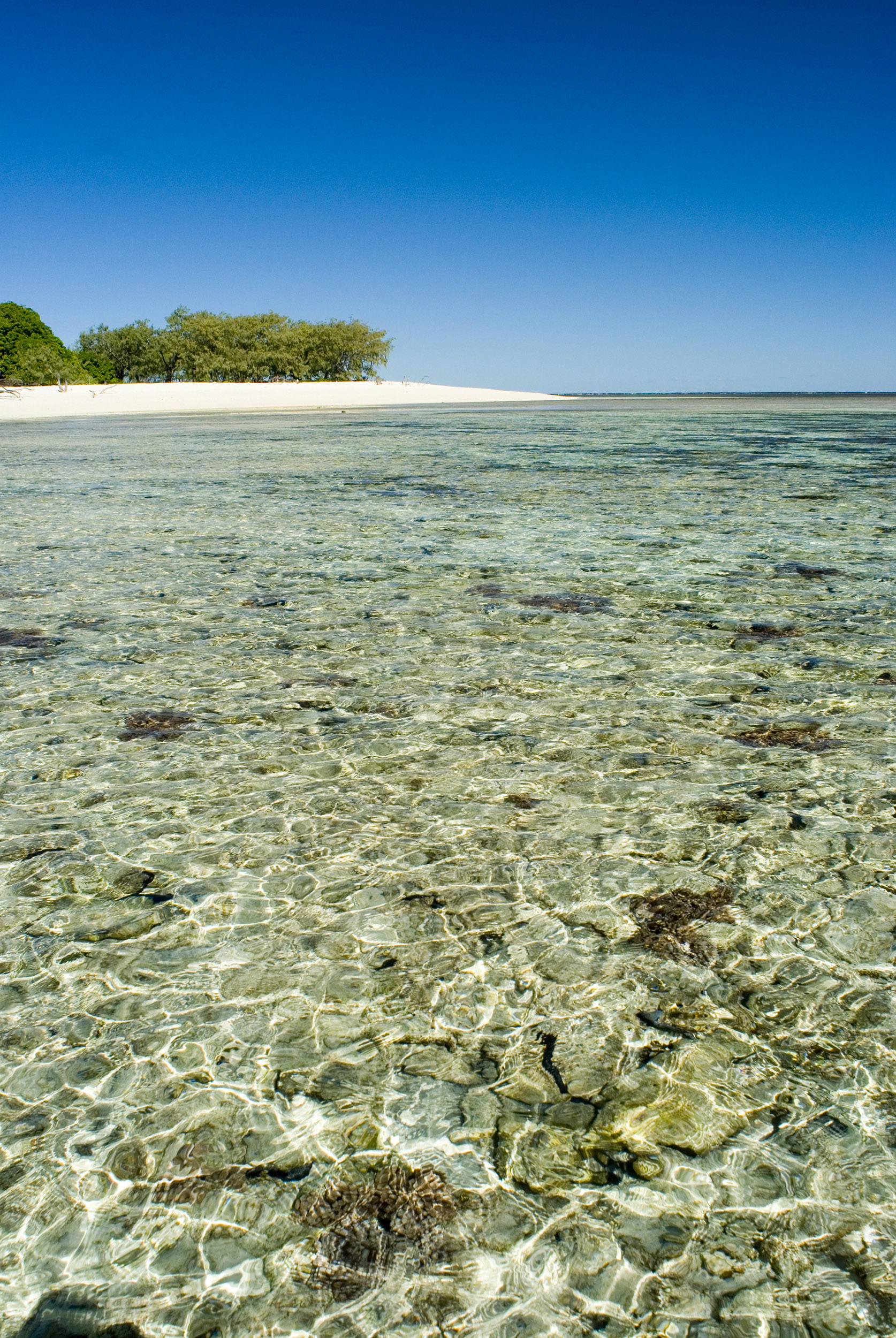 an image of Crystal clear water over tropical coral beside a beautiful, deserted beach on the Great Barrier Reef in Australia.