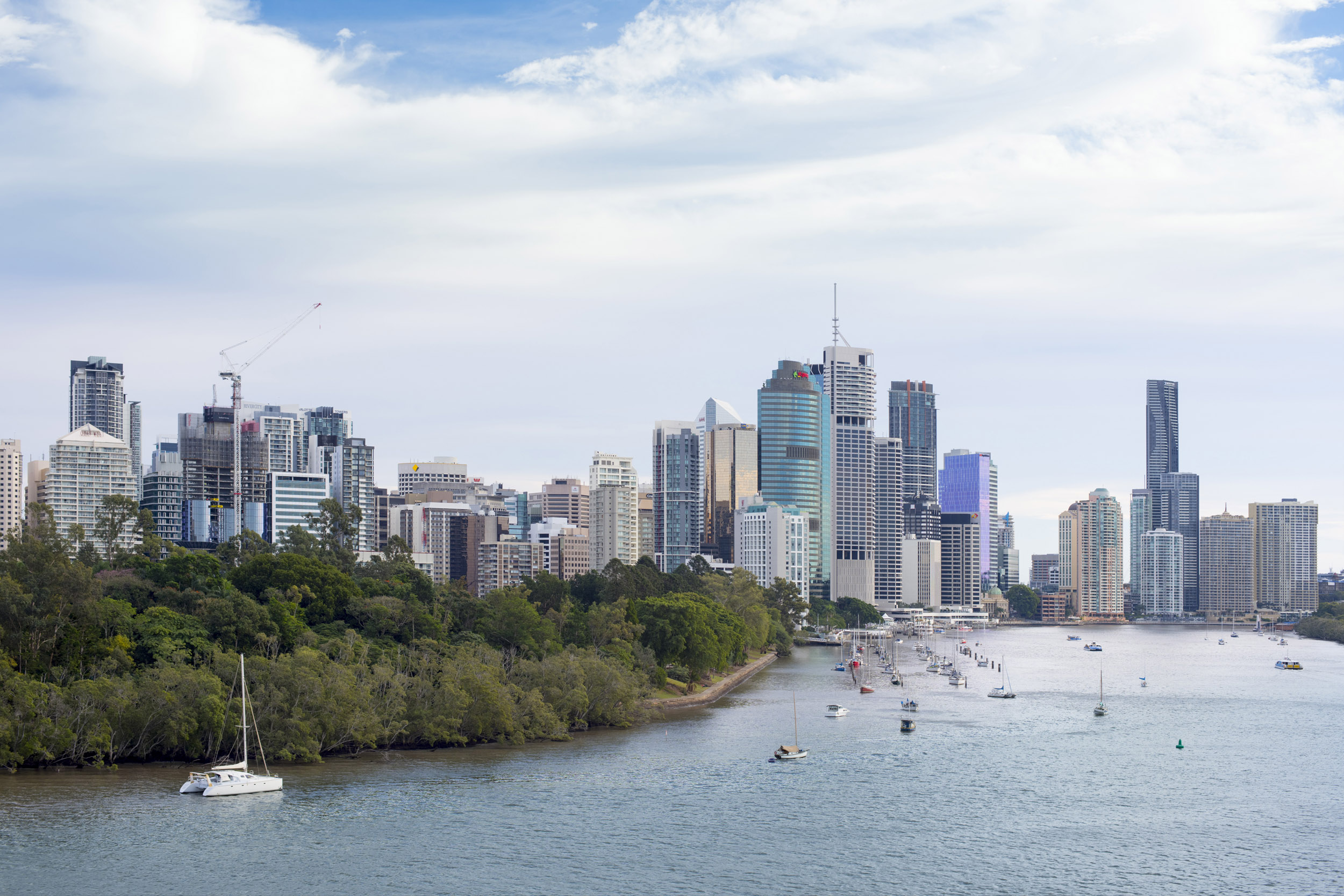 an image of A beautiful panoramic view of Brisbane city skyscrapers and river boats.