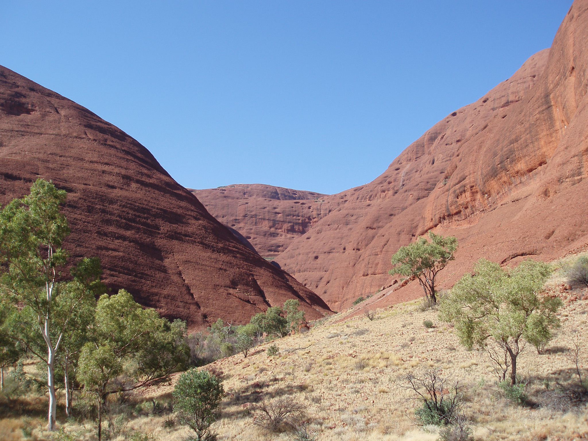 an image of Green Trees and Large Domed Rock Formations at Famous Kata Tjuta on Light Blue Sky Background.