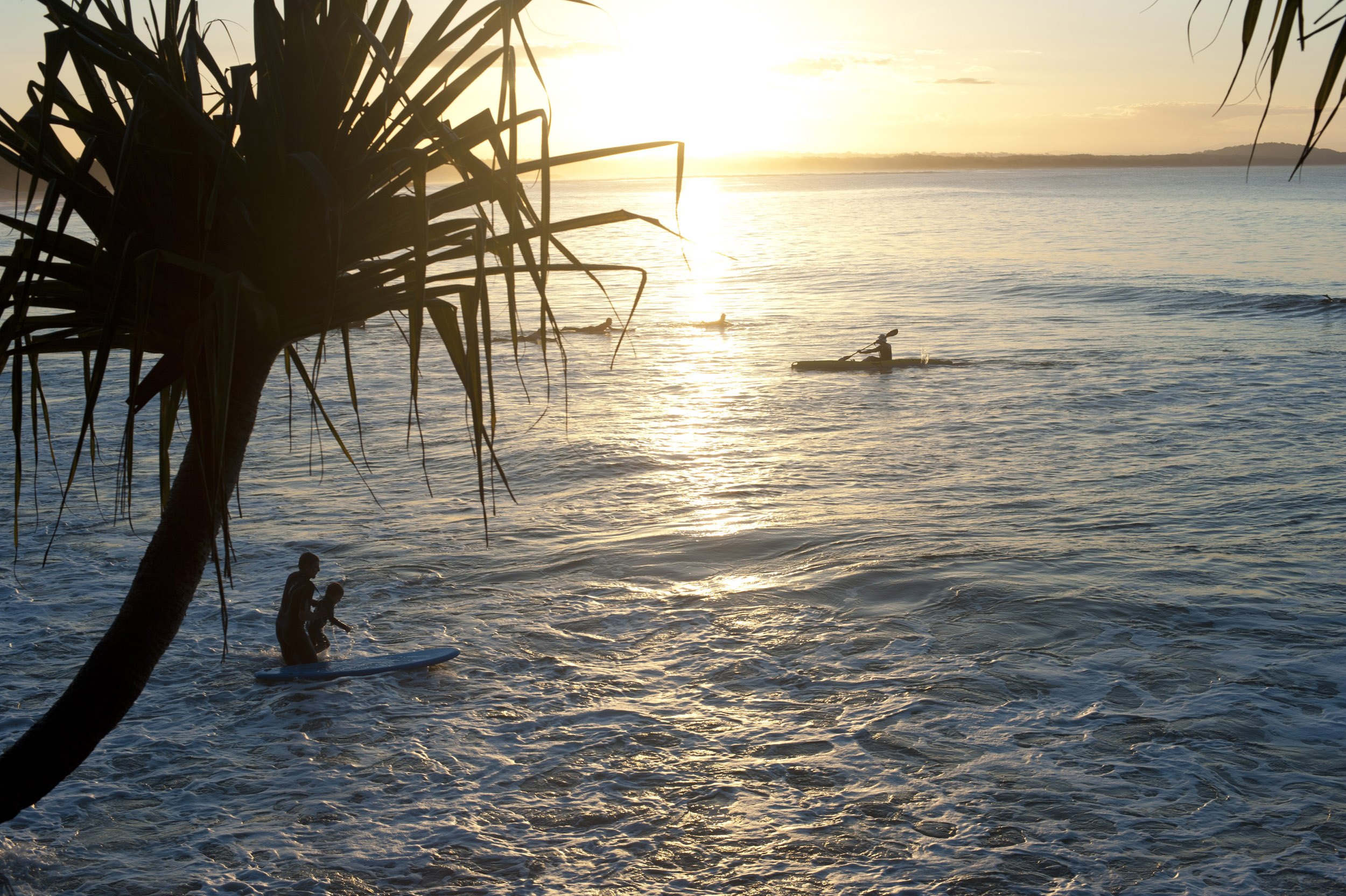 an image of Silhouetted surfers and pandanus trees during a beautiful golden sunset in Noosa Heads, Queensland, Australia.